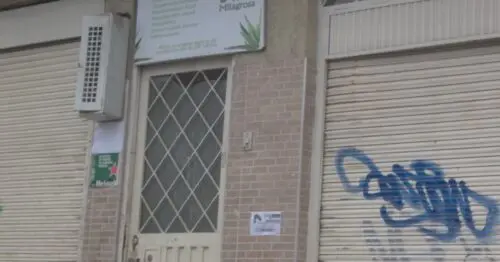 LA PLANTA MILAGROSA LA PLANTA MILAGROSA